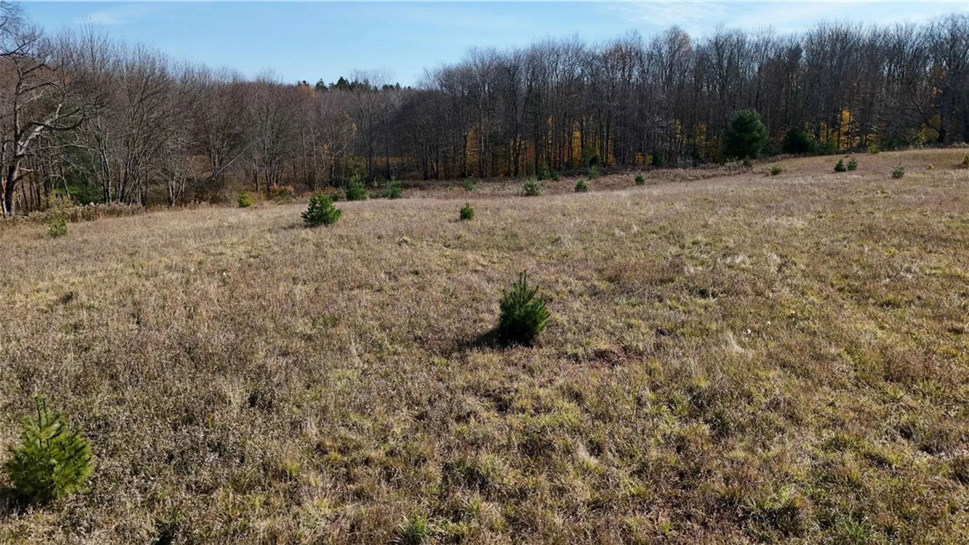 Property at 280 White Road, Parish, NY 13131 23