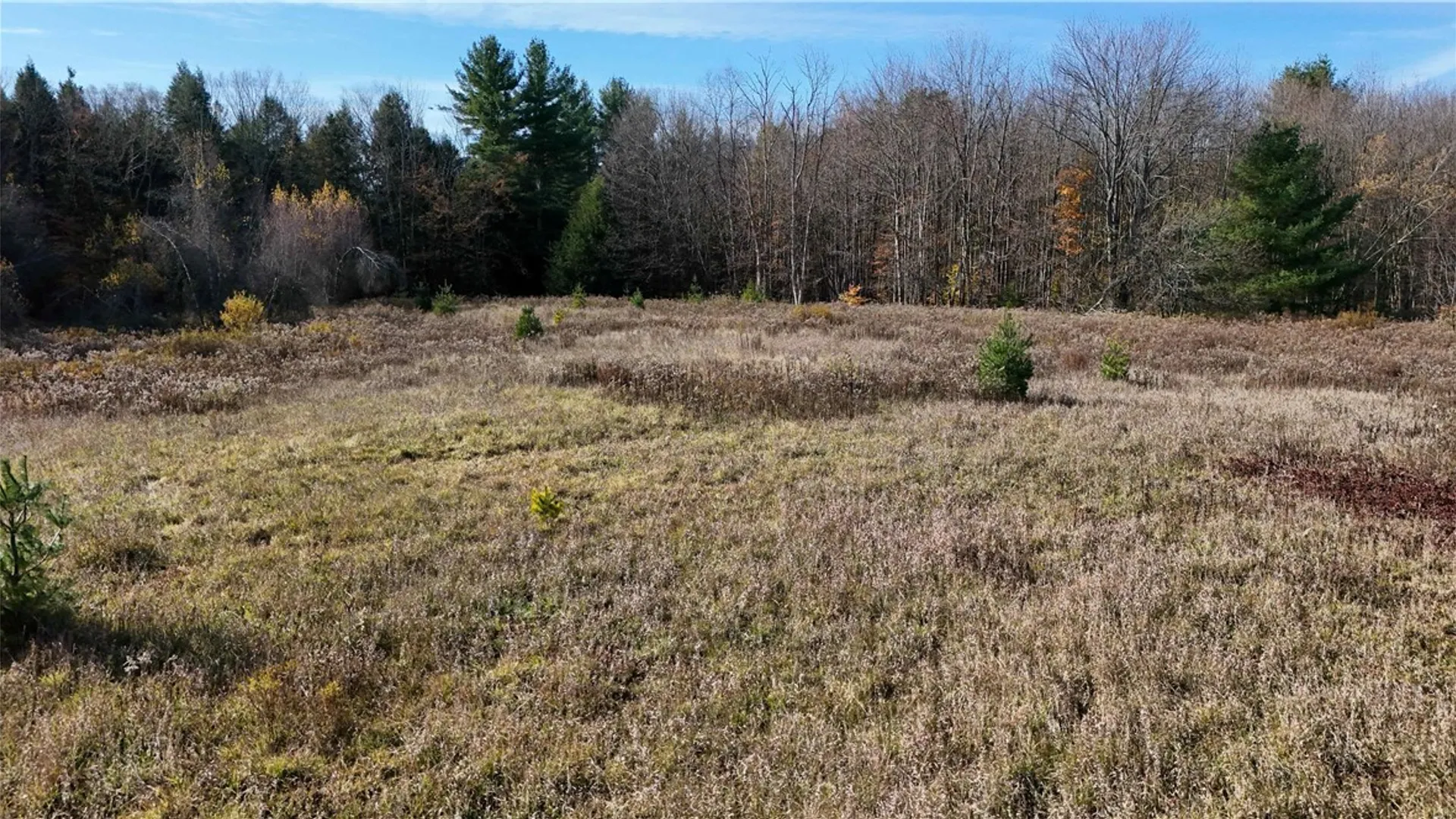 Property at 280 White Road, Parish, NY 13131 25