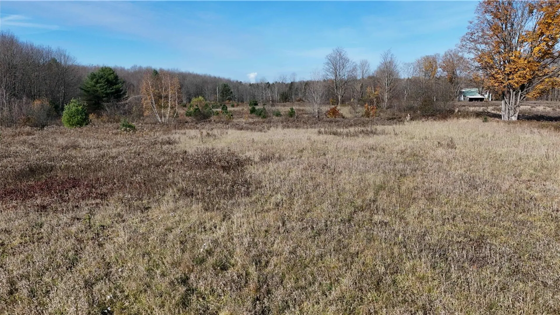 Property at 280 White Road, Parish, NY 13131 26