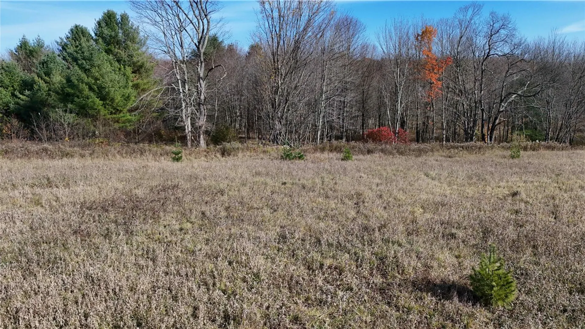 Property at 280 White Road, Parish, NY 13131 28