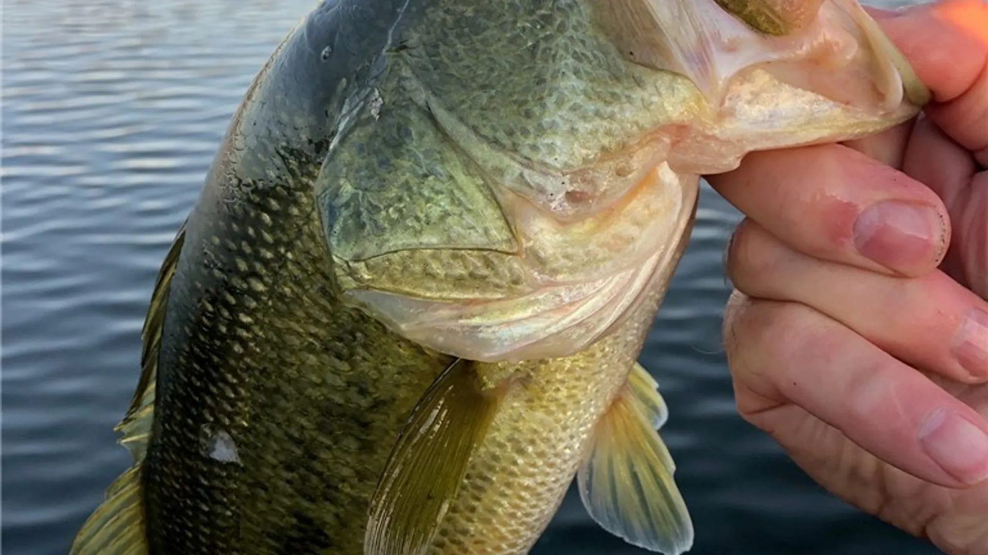 Property at 556 West Shore, Macomb, NY 13646 14