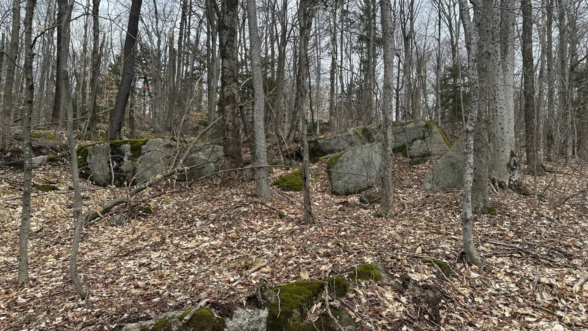 Property at 0 Malone Line,, Malone, NY 12953 33