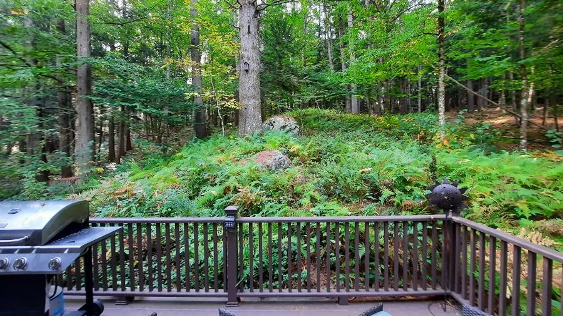 Property at 128 Park Rd., Wells, NY 12190 14