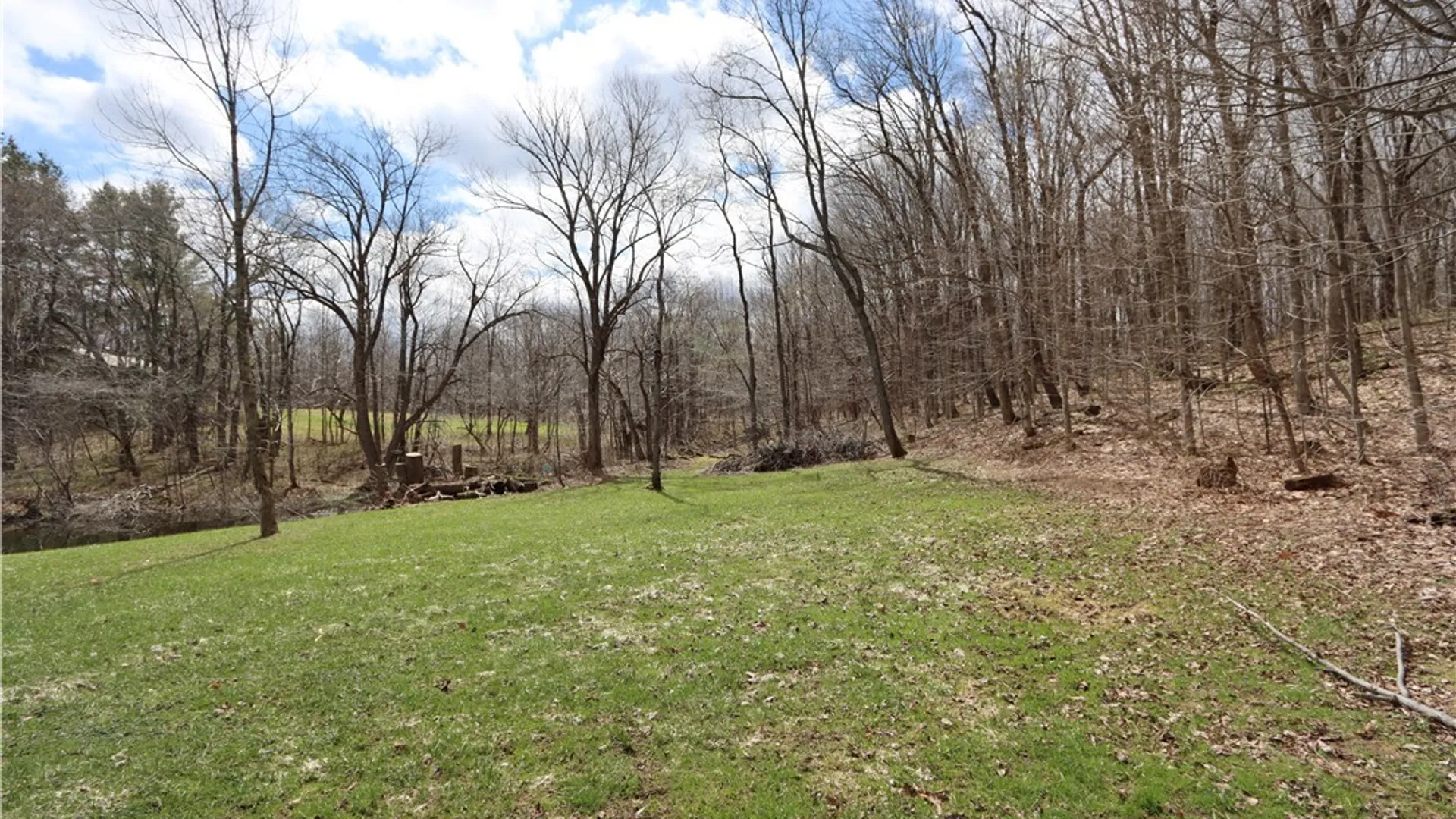 Property at 632 State Route 177, Pinckney, NY 13626 3