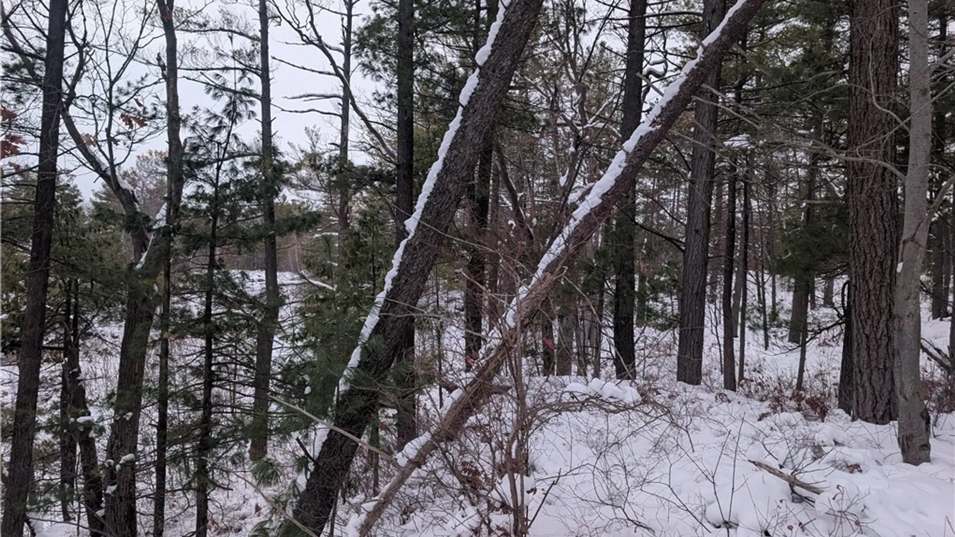 Property at Lot F Beachfront Lane Drive, Theresa, NY 13691 10