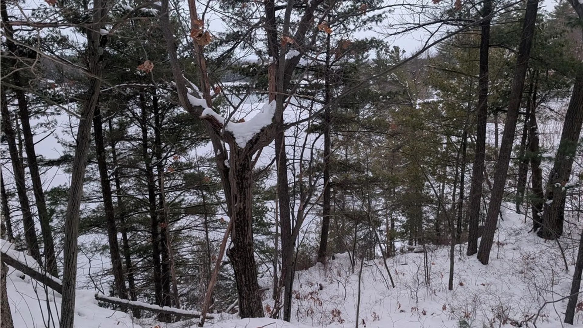 Property at Lot F Beachfront Lane Drive, Theresa, NY 13691 11