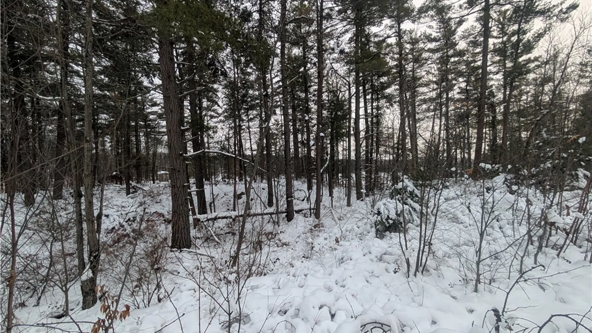 Property at Lot F Beachfront Lane Drive, Theresa, NY 13691 12