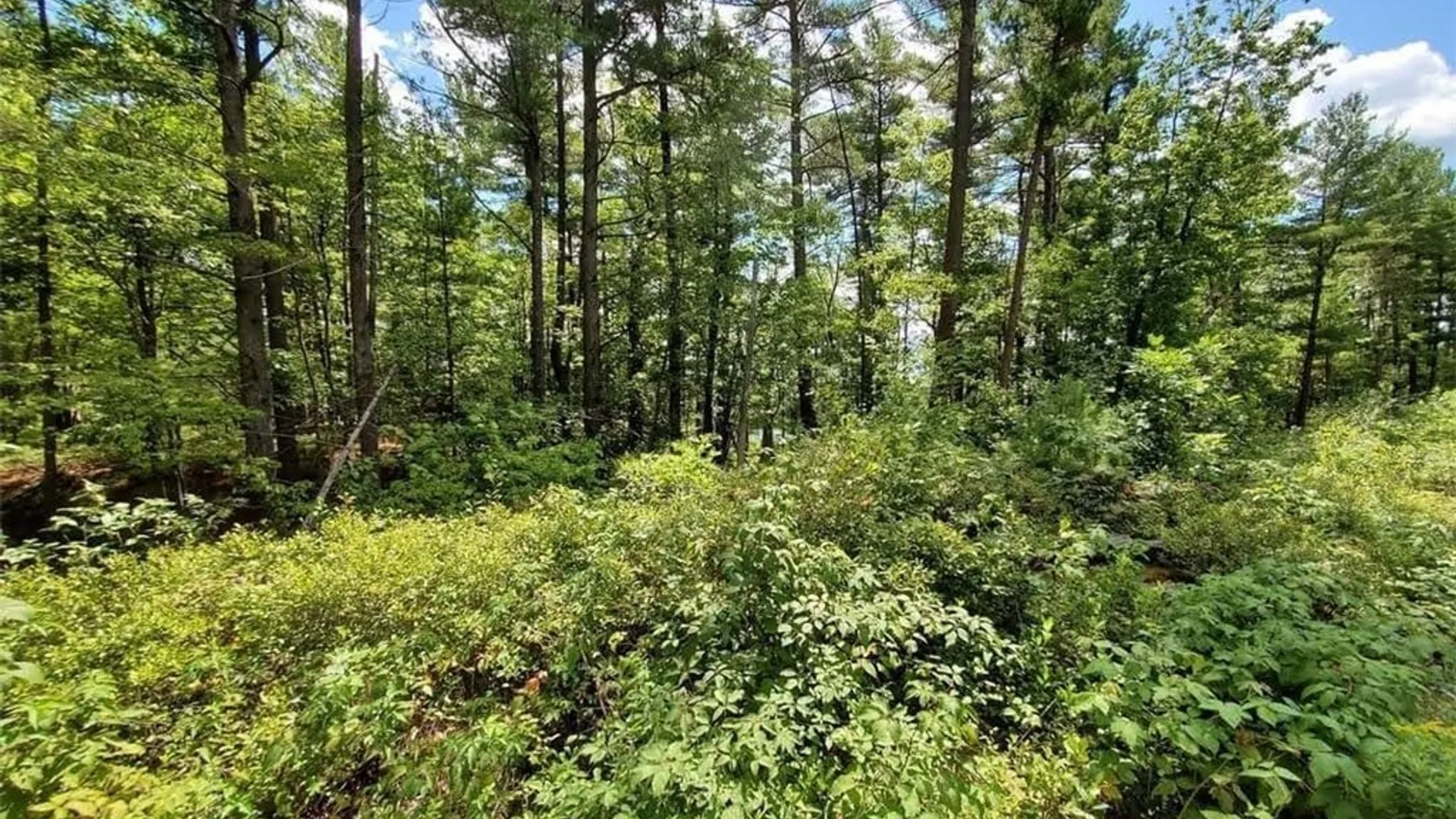 Property at Lot F Beachfront Lane Drive, Theresa, NY 13691 3