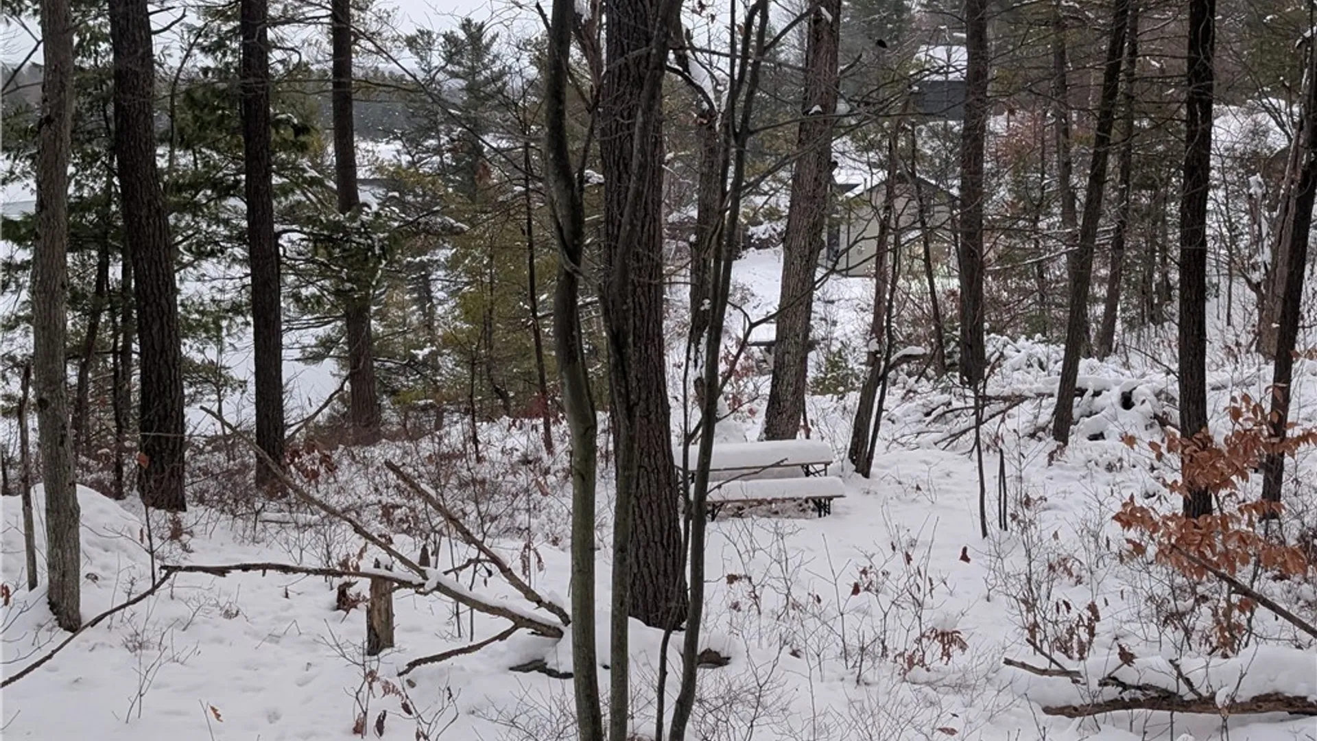 Property at Lot F Beachfront Lane Drive, Theresa, NY 13691 6