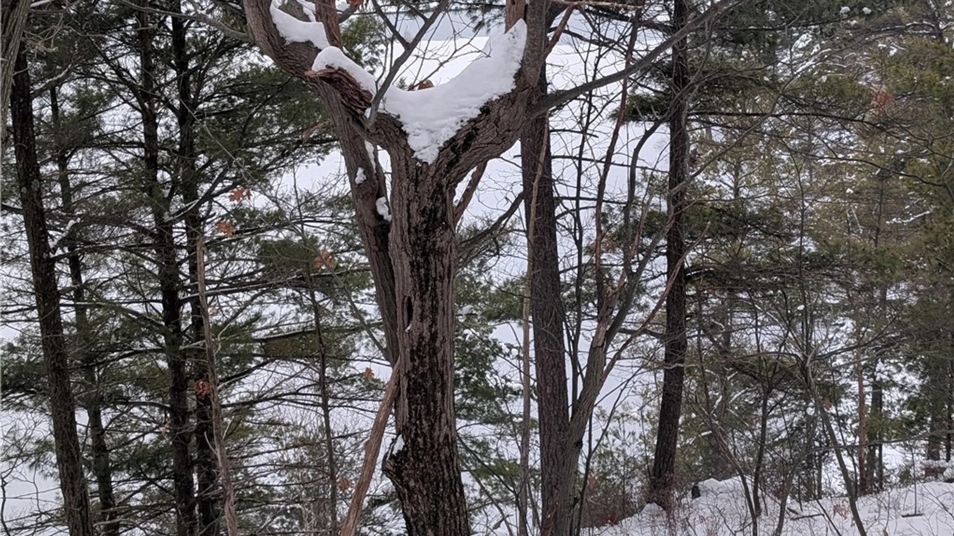 Property at Lot F Beachfront Lane Drive, Theresa, NY 13691 8