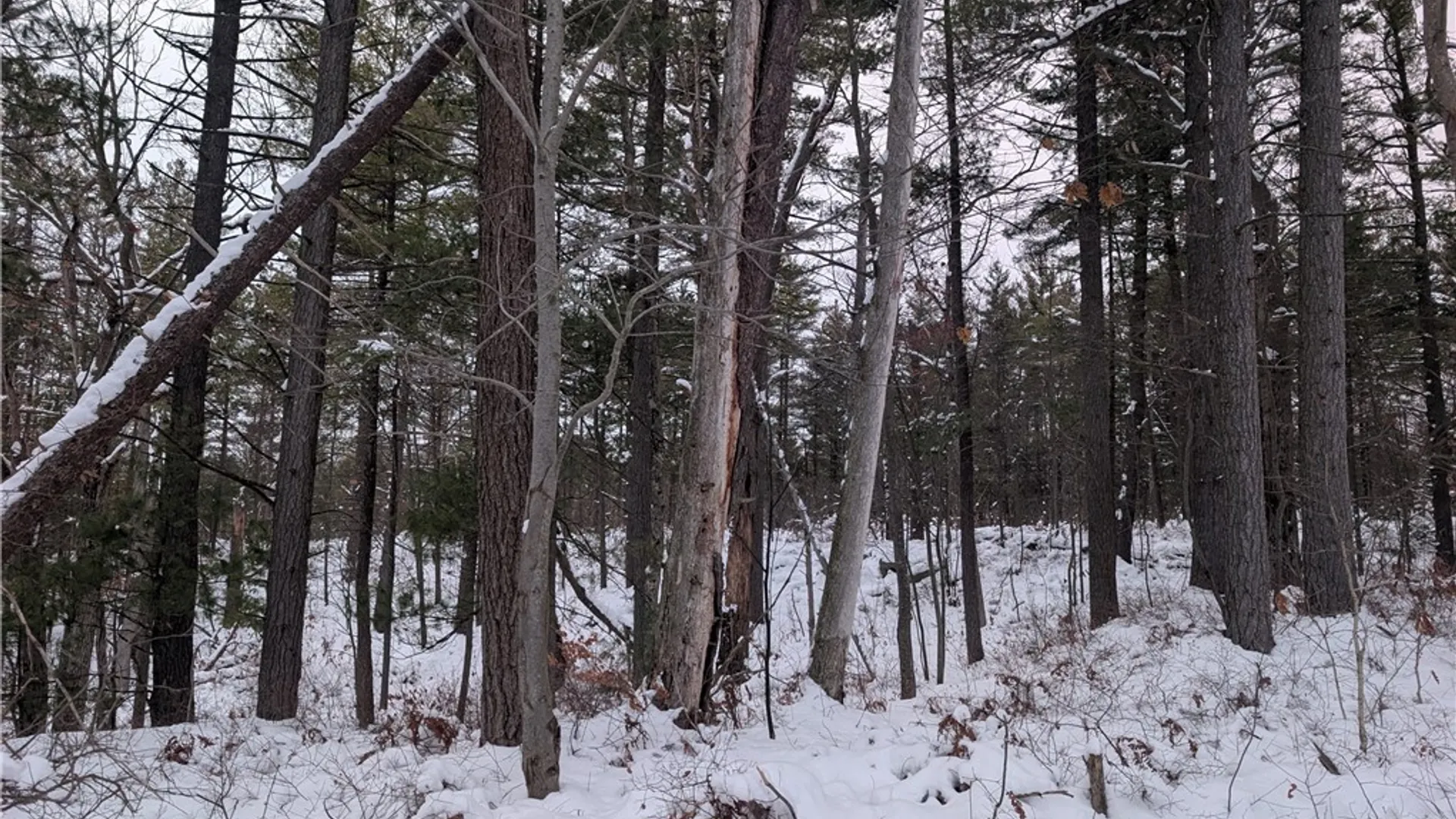 Property at Lot F Beachfront Lane Drive, Theresa, NY 13691 9