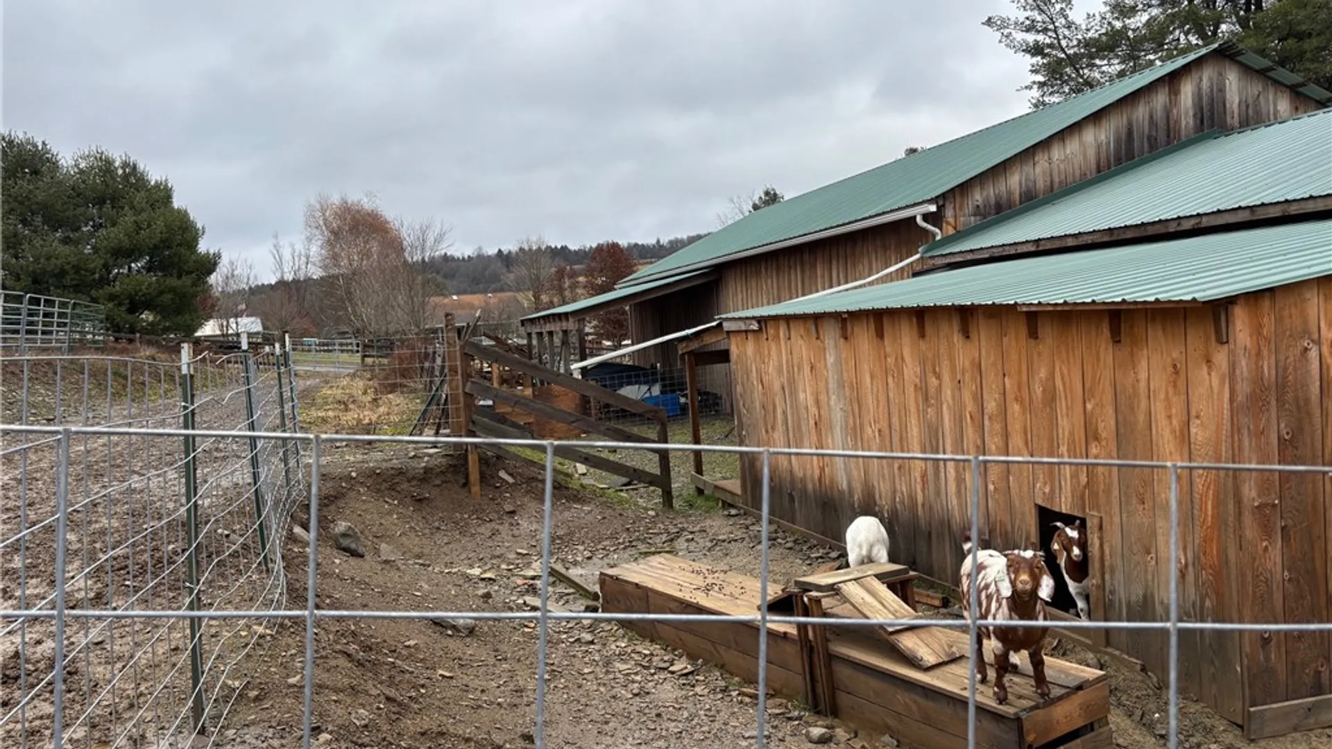 Property at 172 Hawks Road, Pittsfield, NY 13411 46