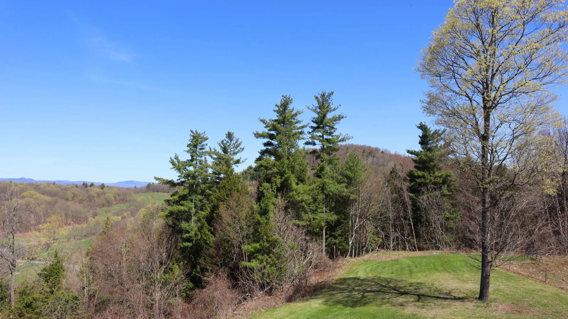Property at 1710 Truthville Rd, Whitehall, NY 12887 34