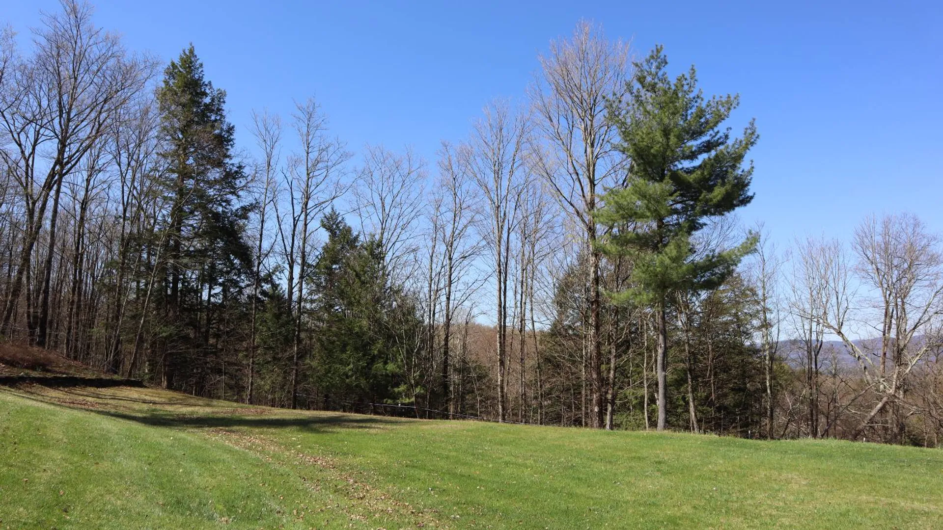Property at 1710 Truthville Rd, Whitehall, NY 12887 40