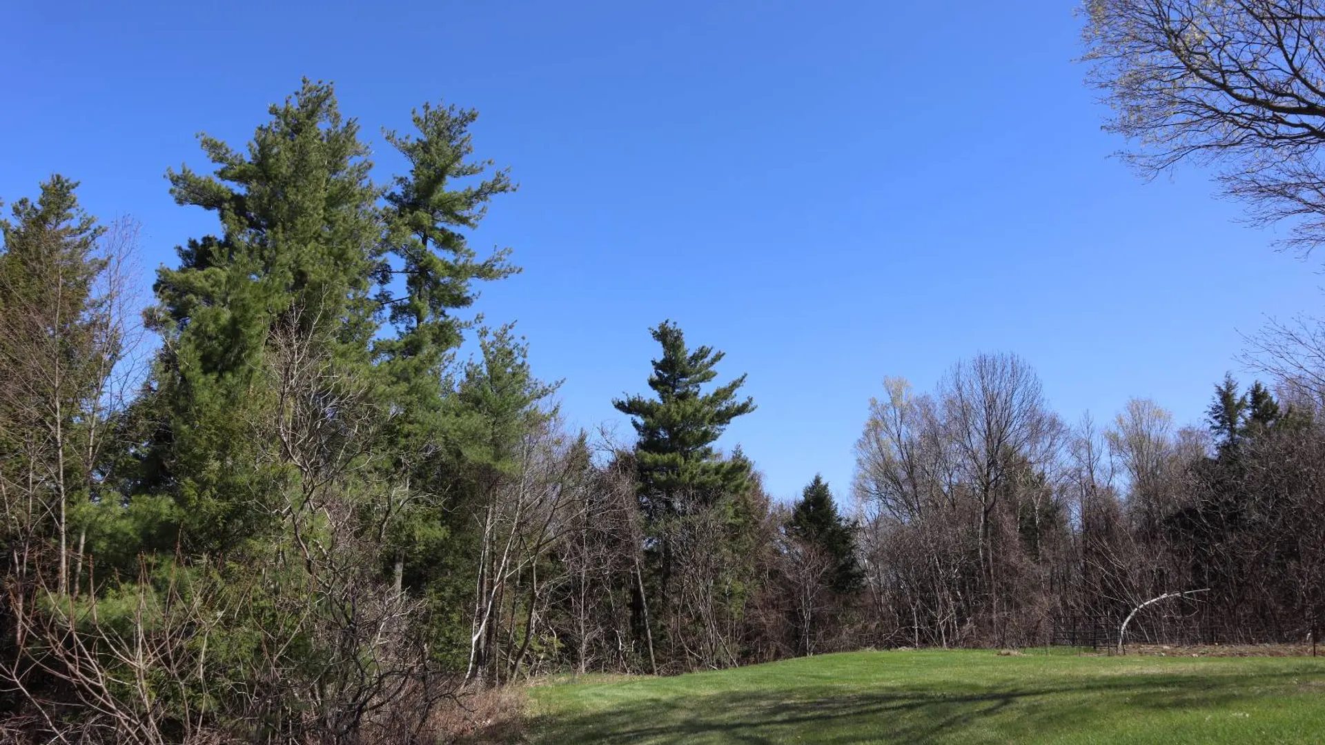 Property at 1710 Truthville Rd, Whitehall, NY 12887 46