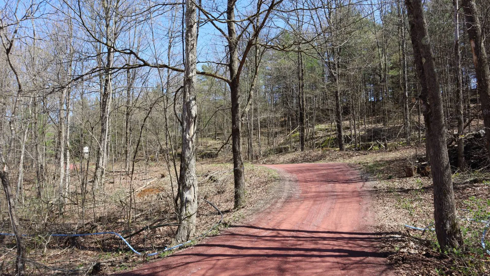 Property at 1710 Truthville Rd, Whitehall, NY 12887 51