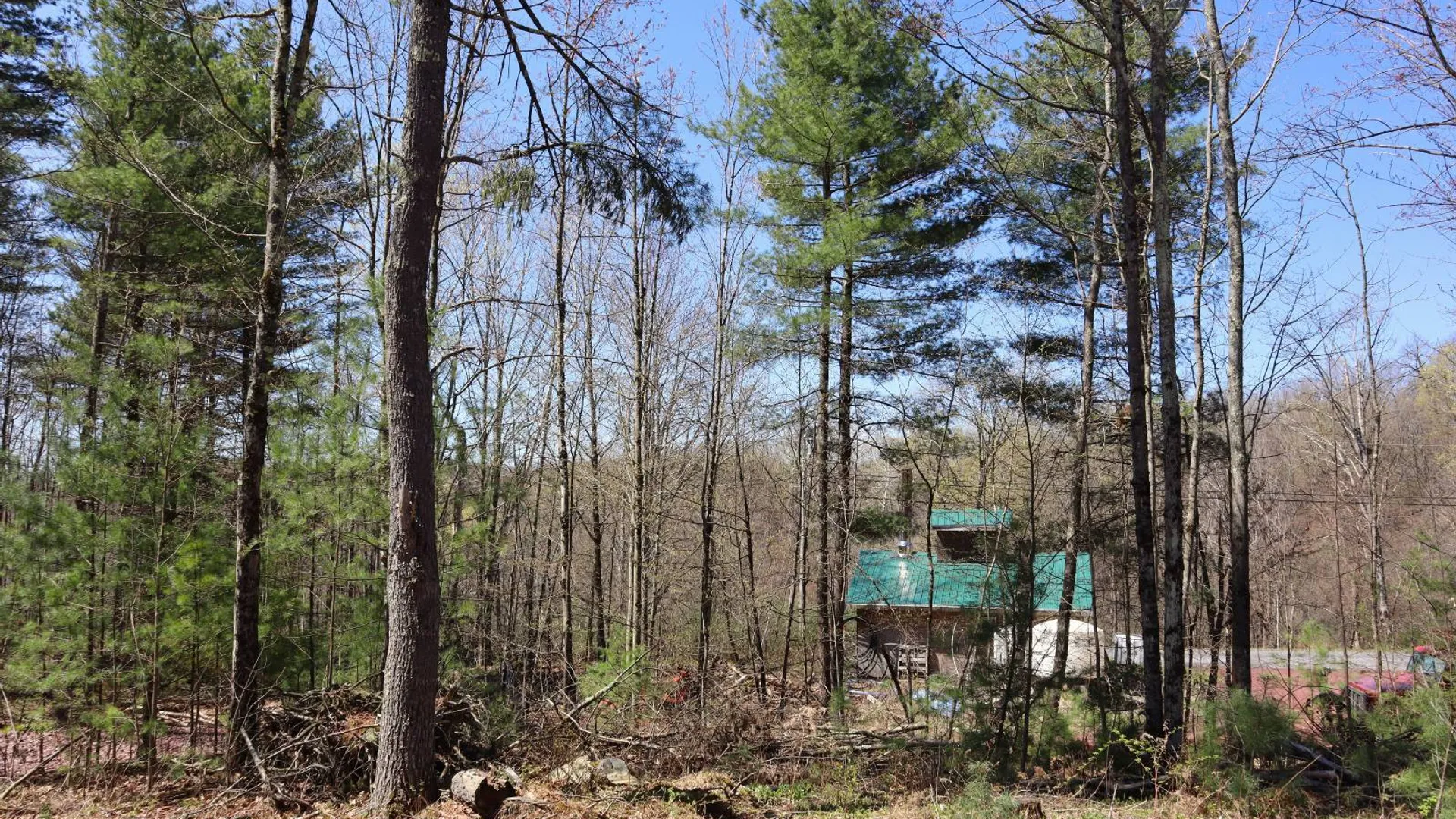 Property at 1710 Truthville Rd, Whitehall, NY 12887 52