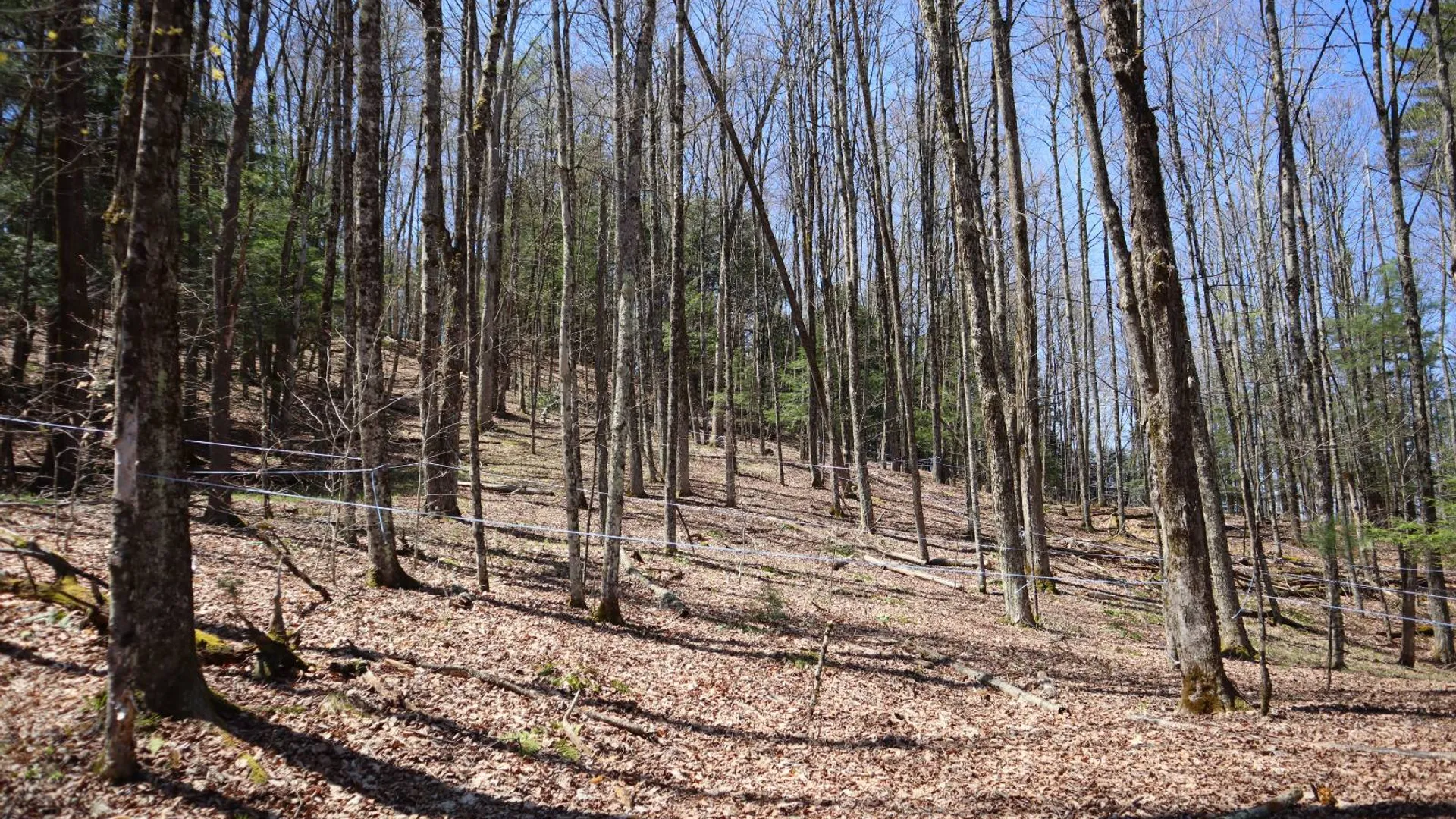 Property at 1710 Truthville Rd, Whitehall, NY 12887 58
