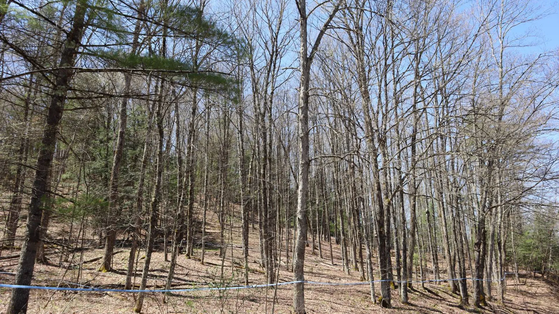 Property at 1710 Truthville Rd, Whitehall, NY 12887 59