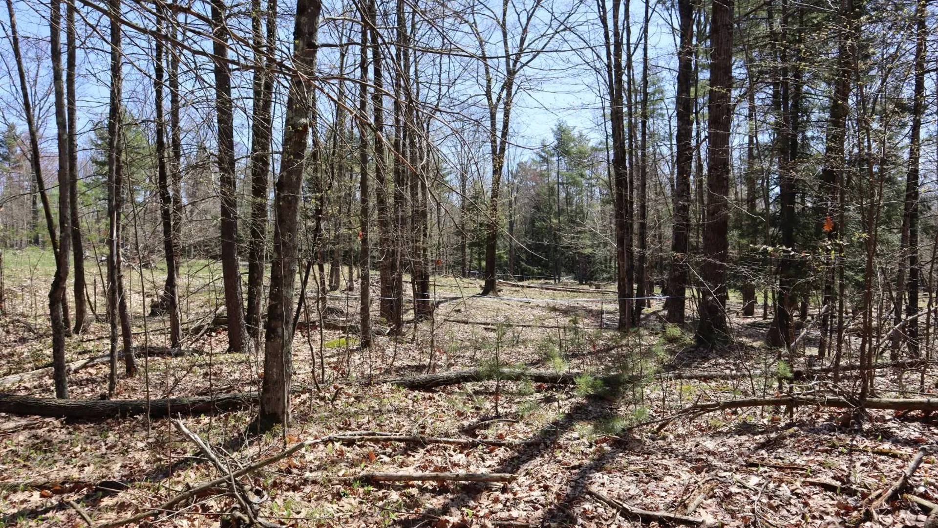 Property at 1710 Truthville Rd, Whitehall, NY 12887 64