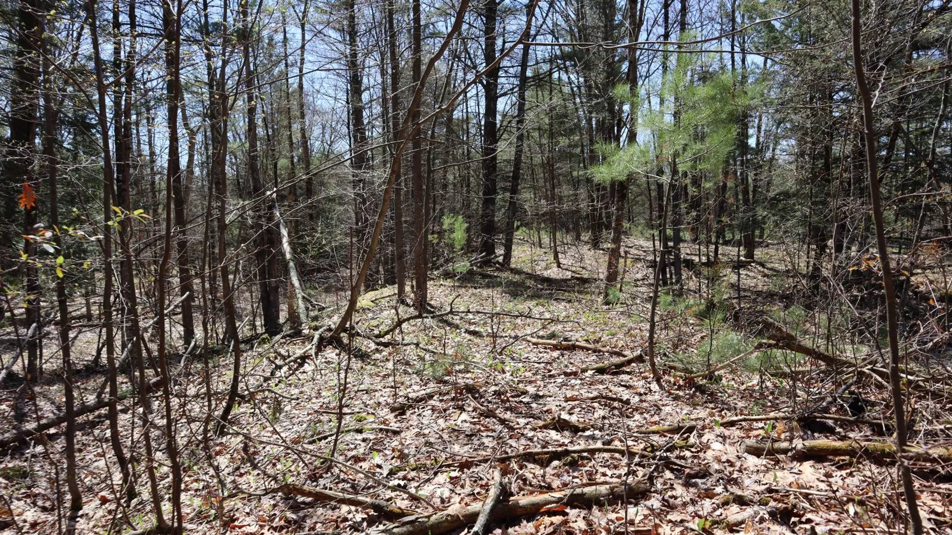 Property at 1710 Truthville Rd, Whitehall, NY 12887 65