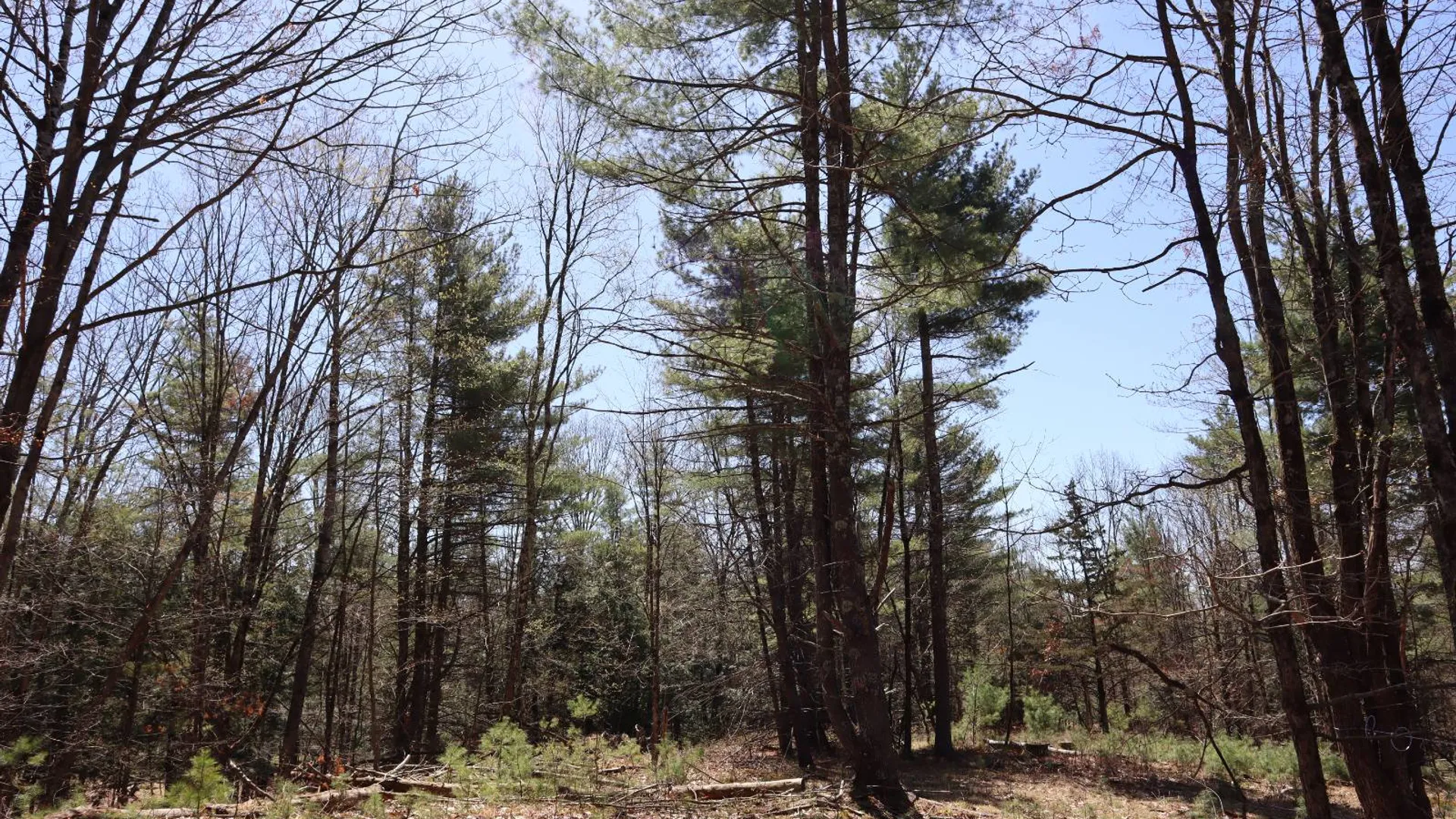 Property at 1710 Truthville Rd, Whitehall, NY 12887 66