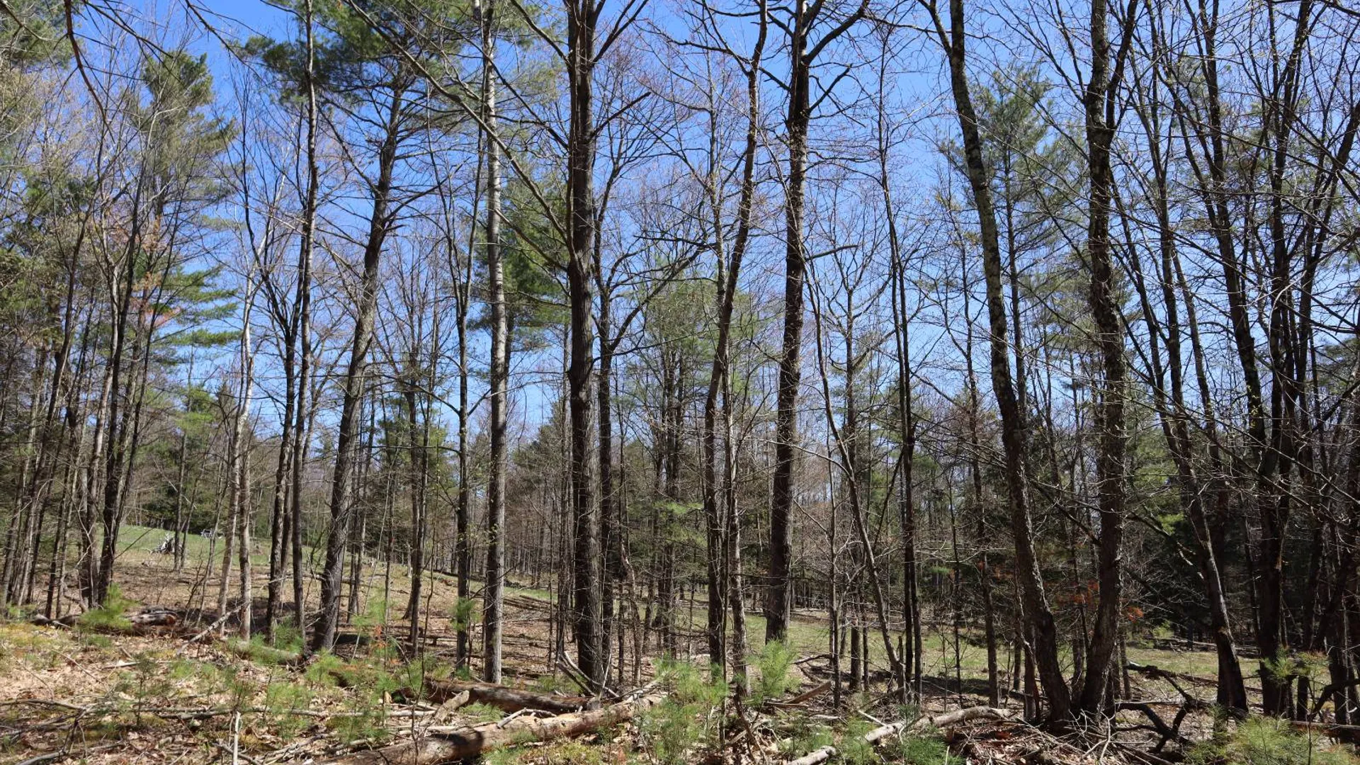 Property at 1710 Truthville Rd, Whitehall, NY 12887 67