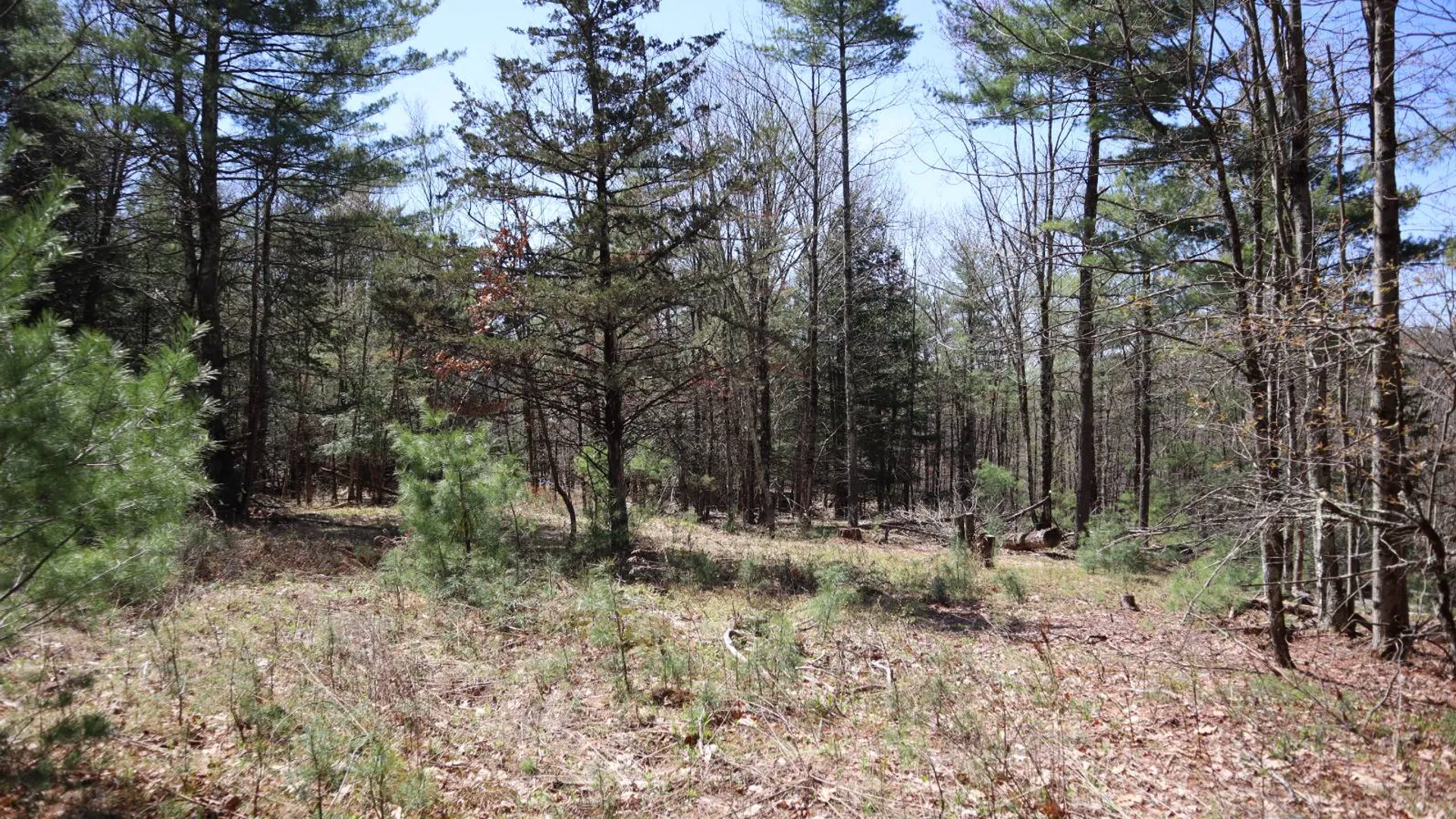 Property at 1710 Truthville Rd, Whitehall, NY 12887 68