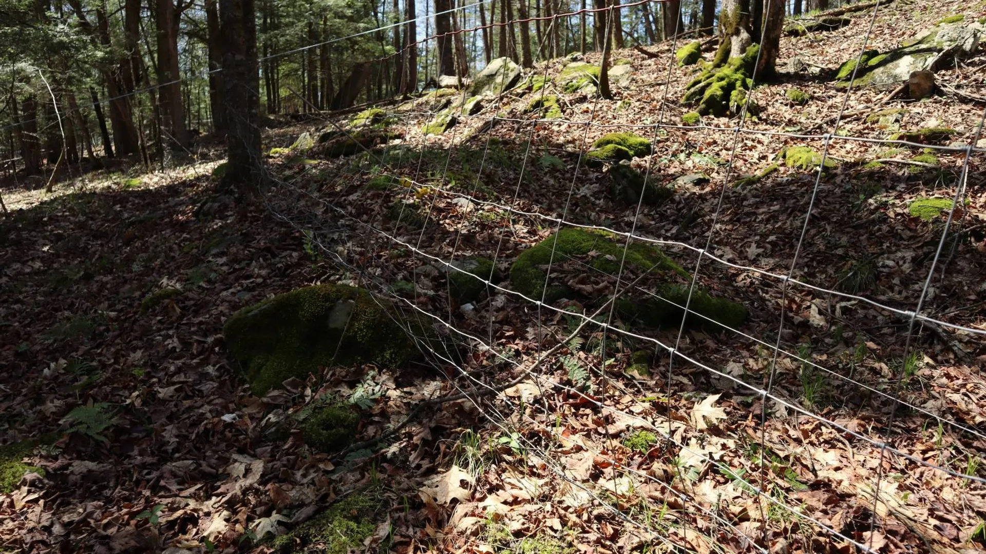 Property at 1710 Truthville Rd, Whitehall, NY 12887 69