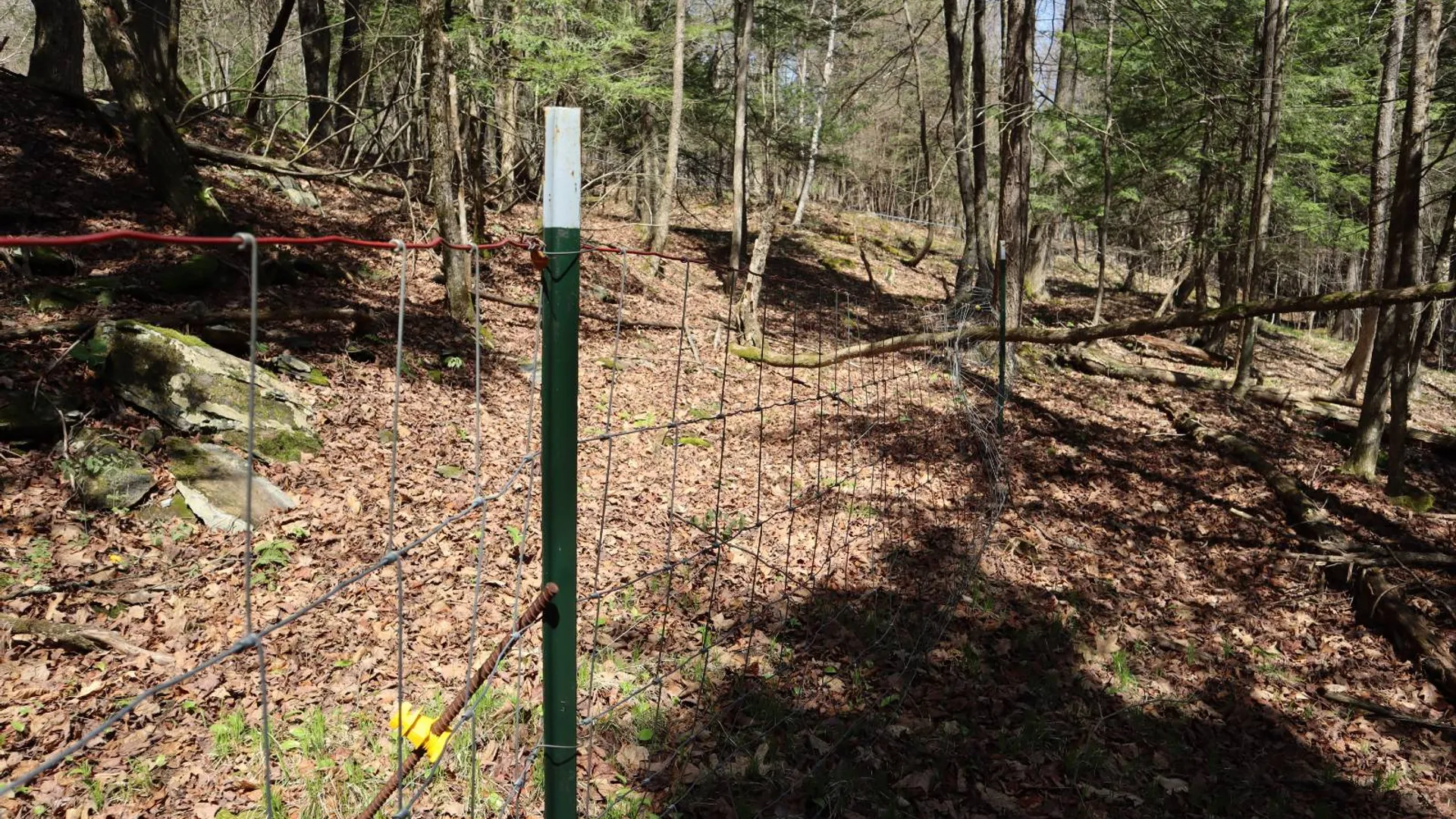 Property at 1710 Truthville Rd, Whitehall, NY 12887 70
