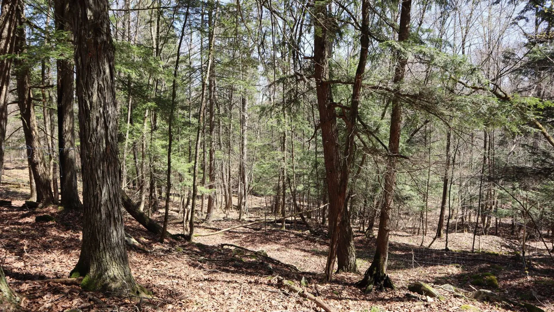 Property at 1710 Truthville Rd, Whitehall, NY 12887 71