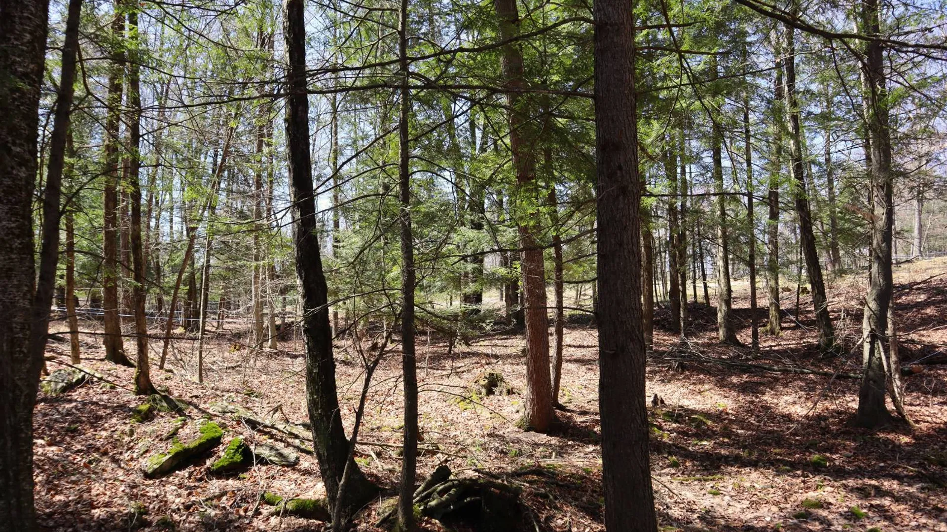 Property at 1710 Truthville Rd, Whitehall, NY 12887 72
