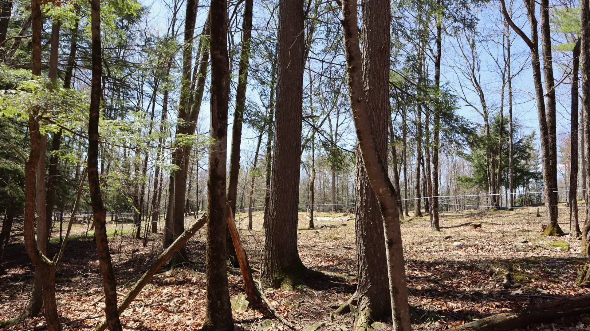 Property at 1710 Truthville Rd, Whitehall, NY 12887 73