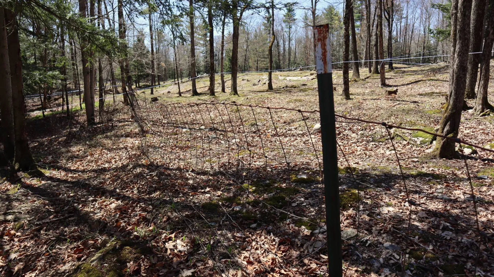 Property at 1710 Truthville Rd, Whitehall, NY 12887 74