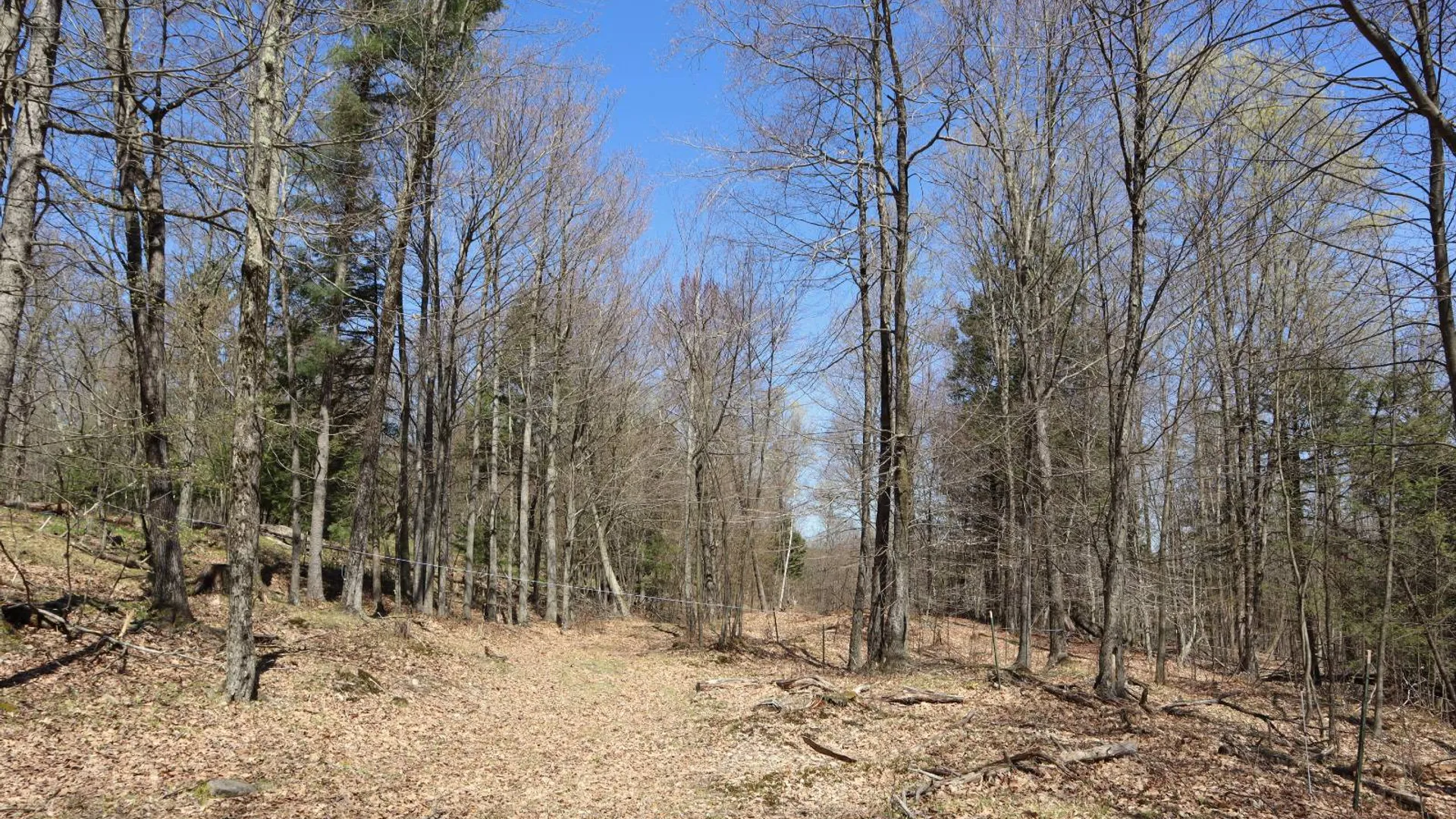 Property at 1710 Truthville Rd, Whitehall, NY 12887 75