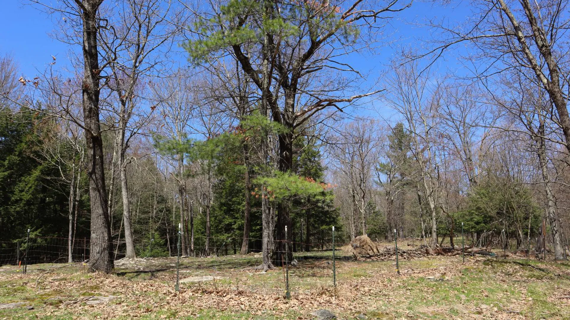 Property at 1710 Truthville Rd, Whitehall, NY 12887 76