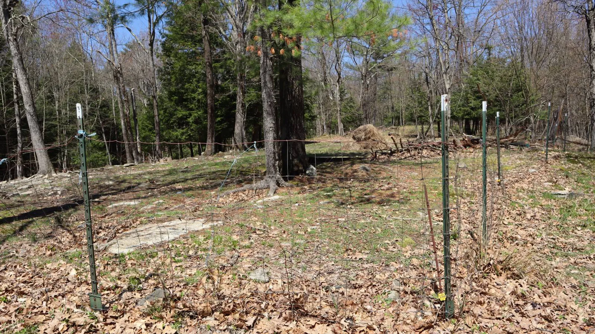 Property at 1710 Truthville Rd, Whitehall, NY 12887 77