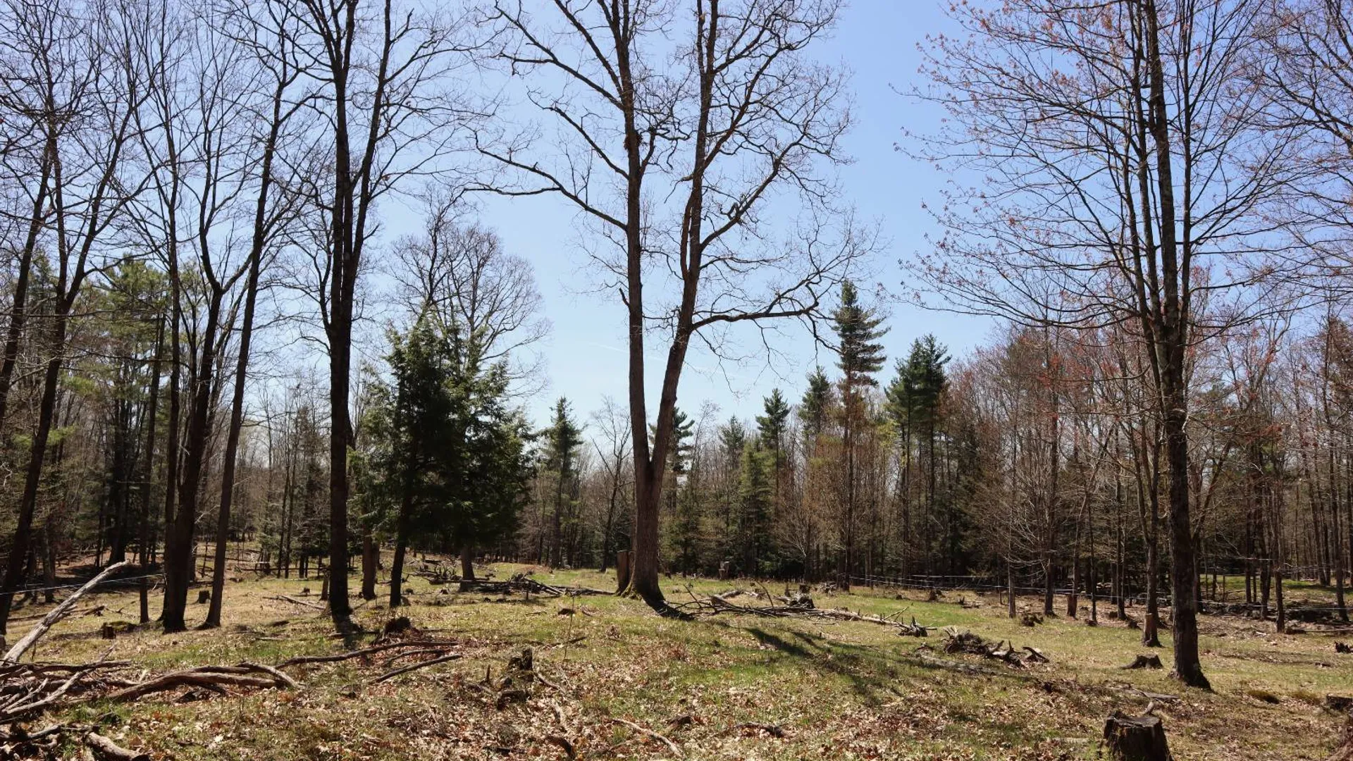 Property at 1710 Truthville Rd, Whitehall, NY 12887 78