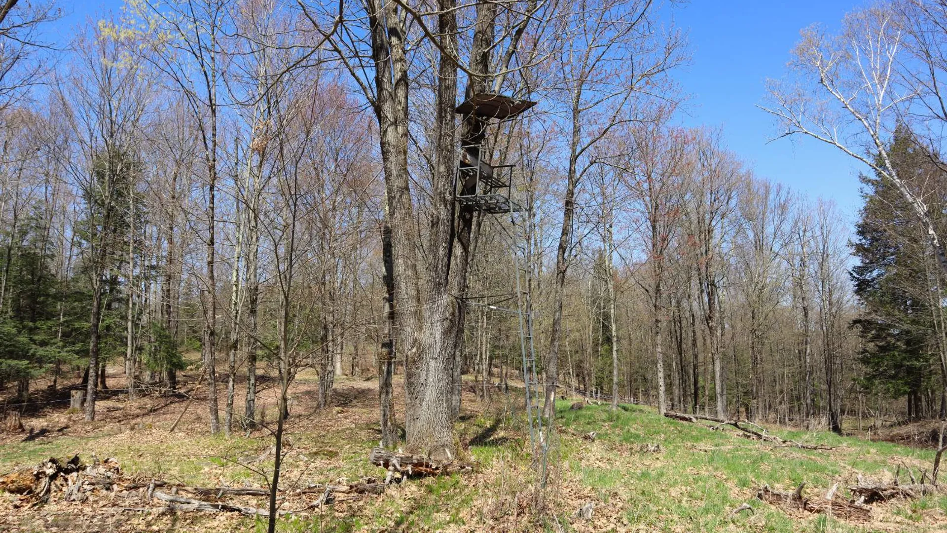 Property at 1710 Truthville Rd, Whitehall, NY 12887 79