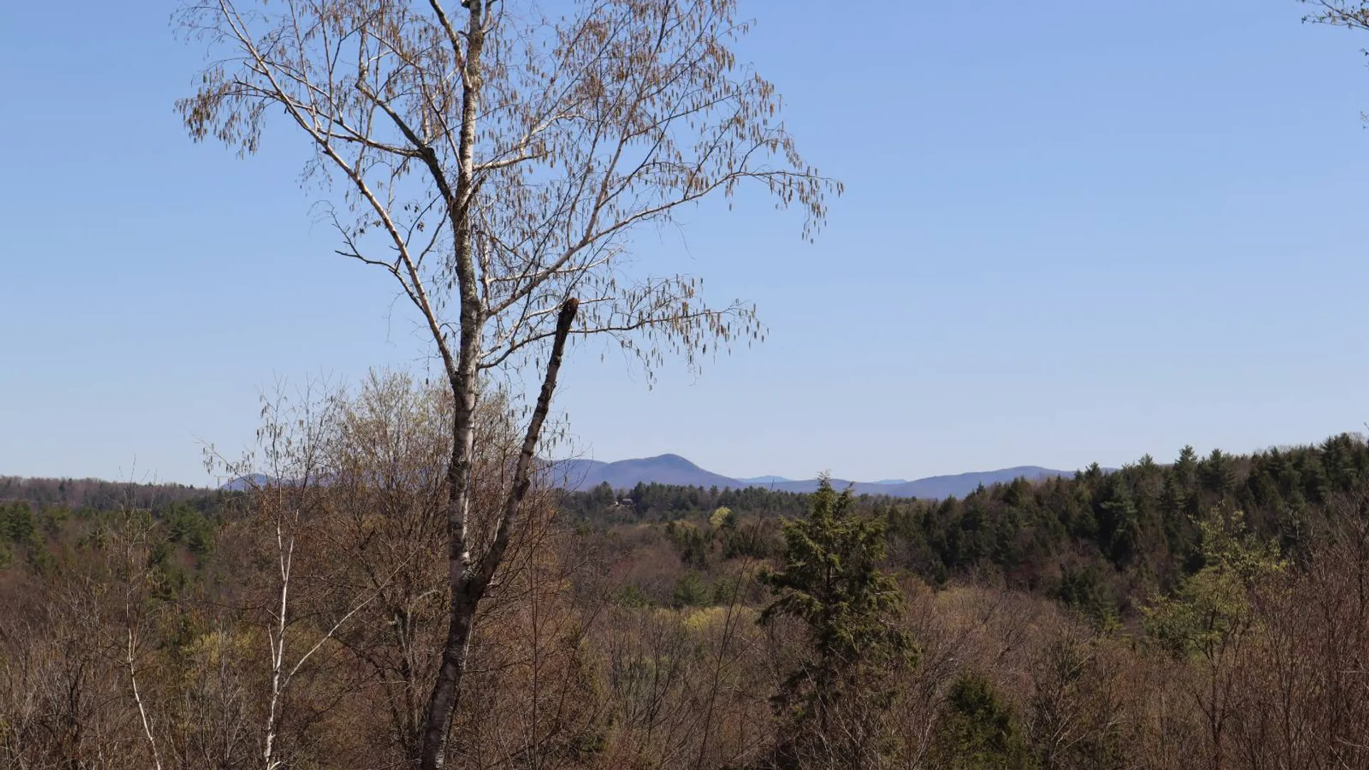 Property at 1710 Truthville Rd, Whitehall, NY 12887 80