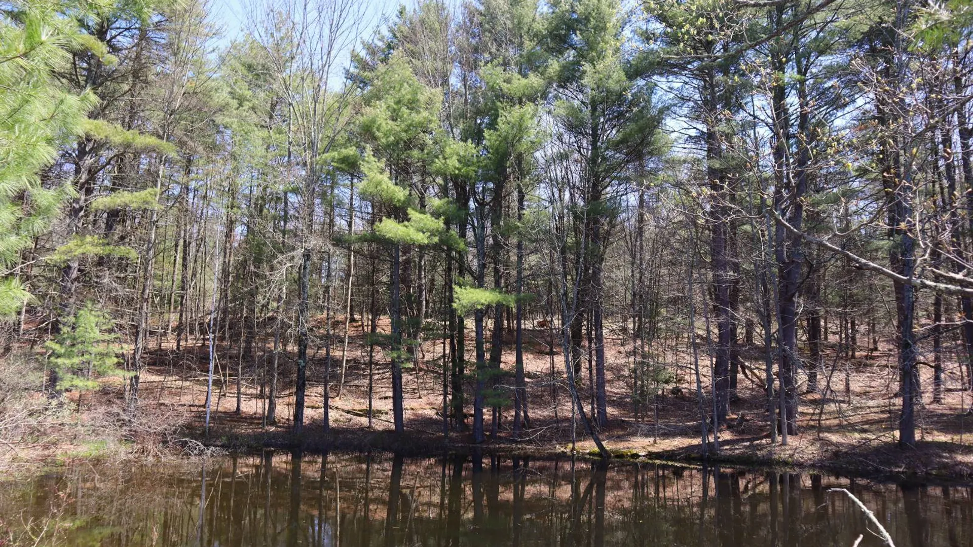 Property at 1710 Truthville Rd, Whitehall, NY 12887 81