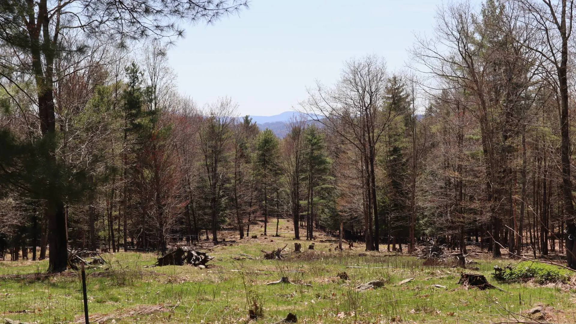 Property at 1710 Truthville Rd, Whitehall, NY 12887 82