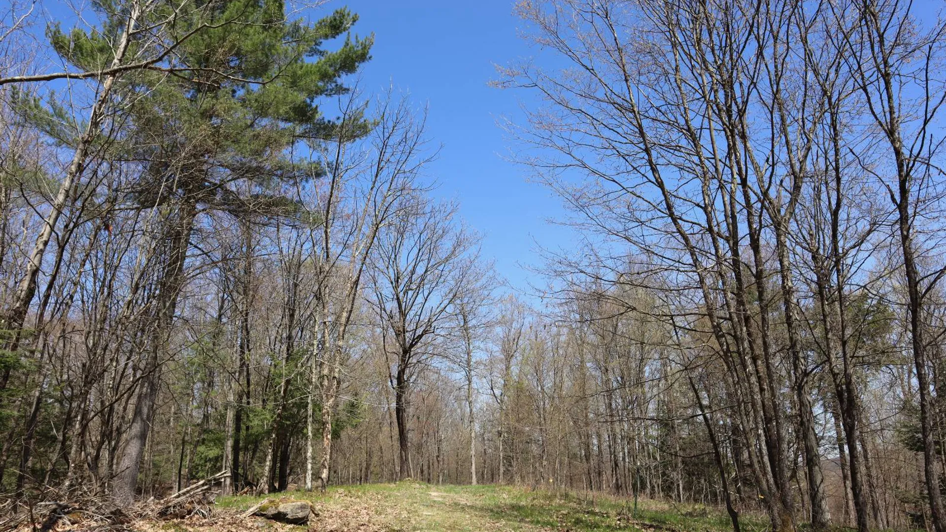Property at 1710 Truthville Rd, Whitehall, NY 12887 83