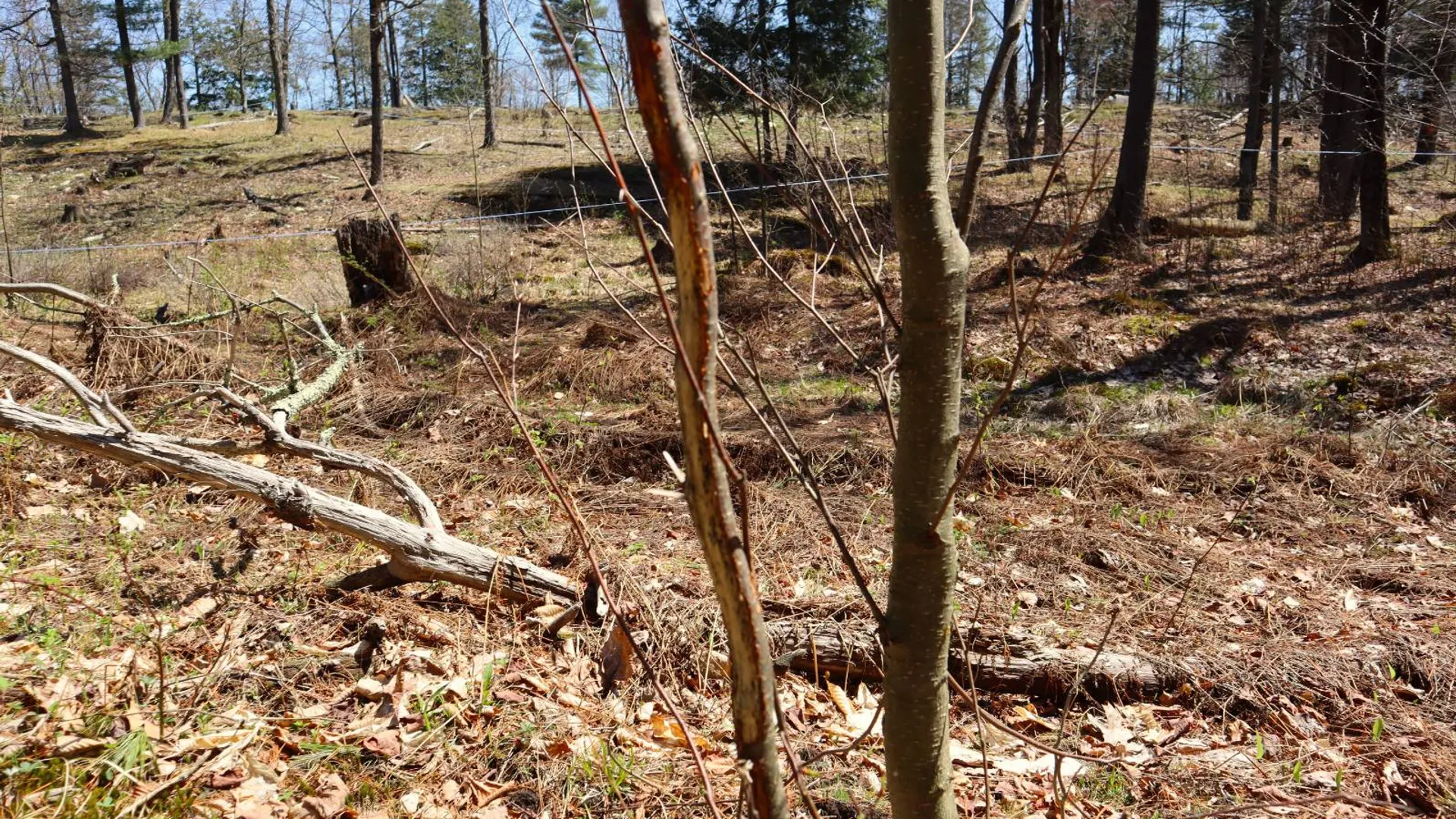 Property at 1710 Truthville Rd, Whitehall, NY 12887 84