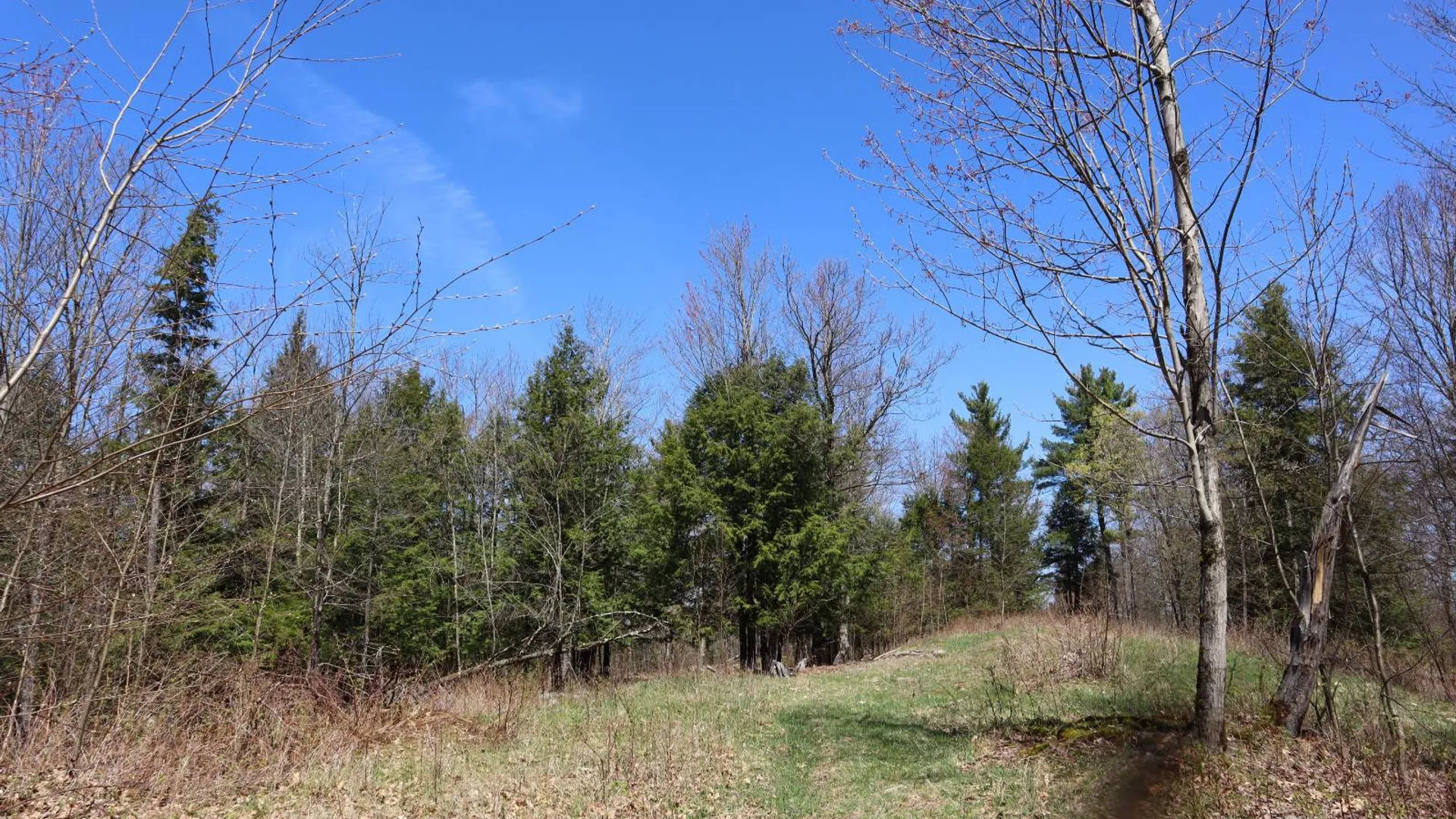 Property at 1710 Truthville Rd, Whitehall, NY 12887 85