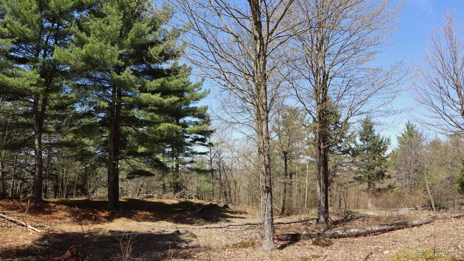 Property at 1710 Truthville Rd, Whitehall, NY 12887 86