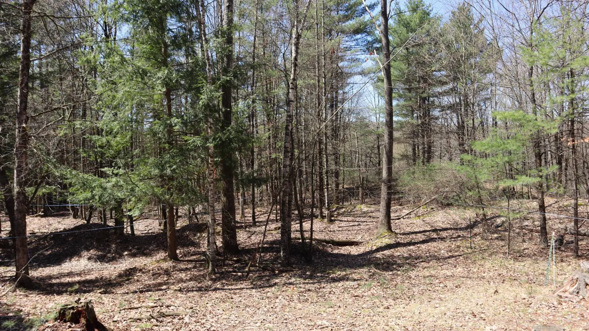 Property at 1710 Truthville Rd, Whitehall, NY 12887 87