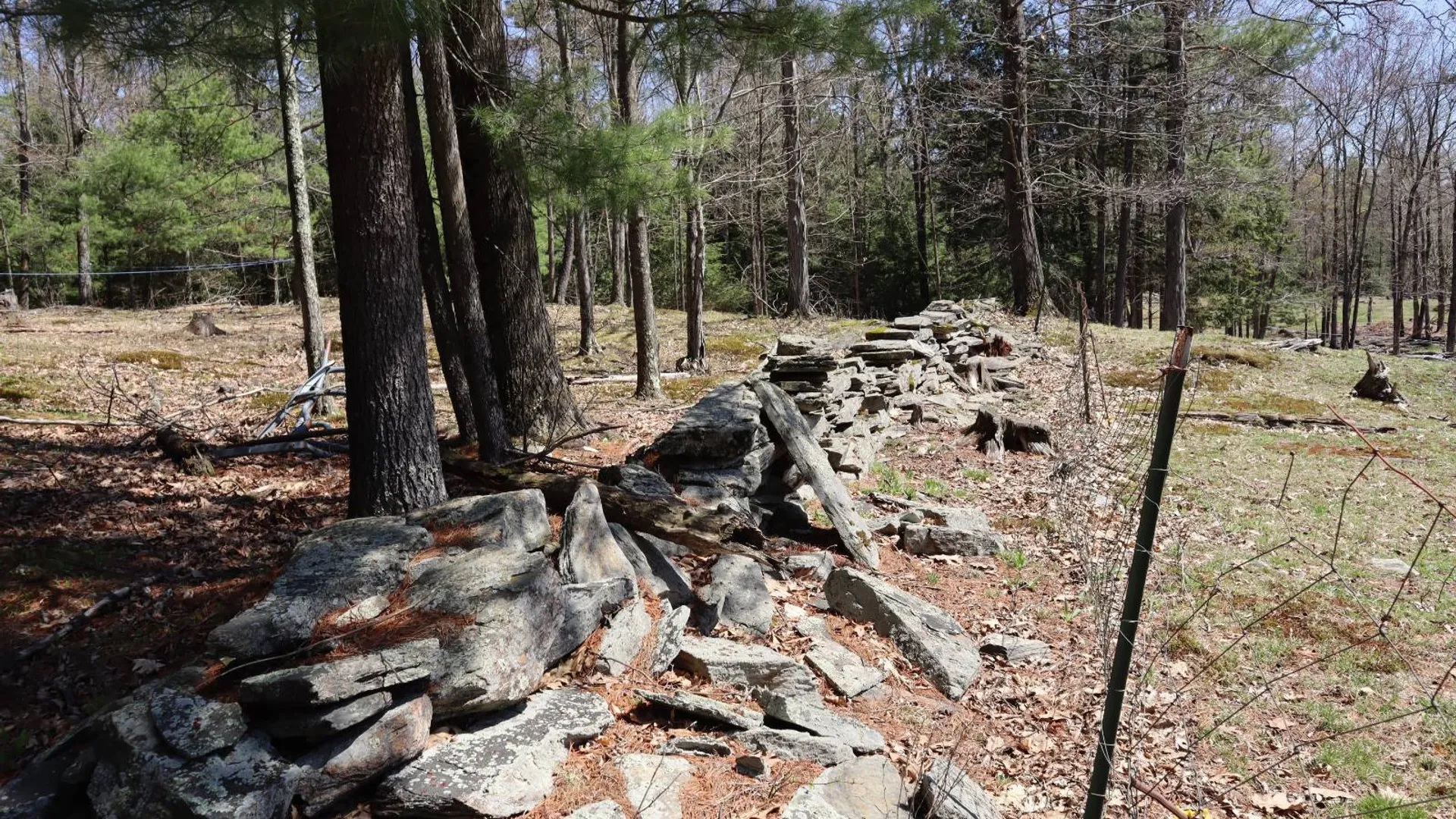 Property at 1710 Truthville Rd, Whitehall, NY 12887 88