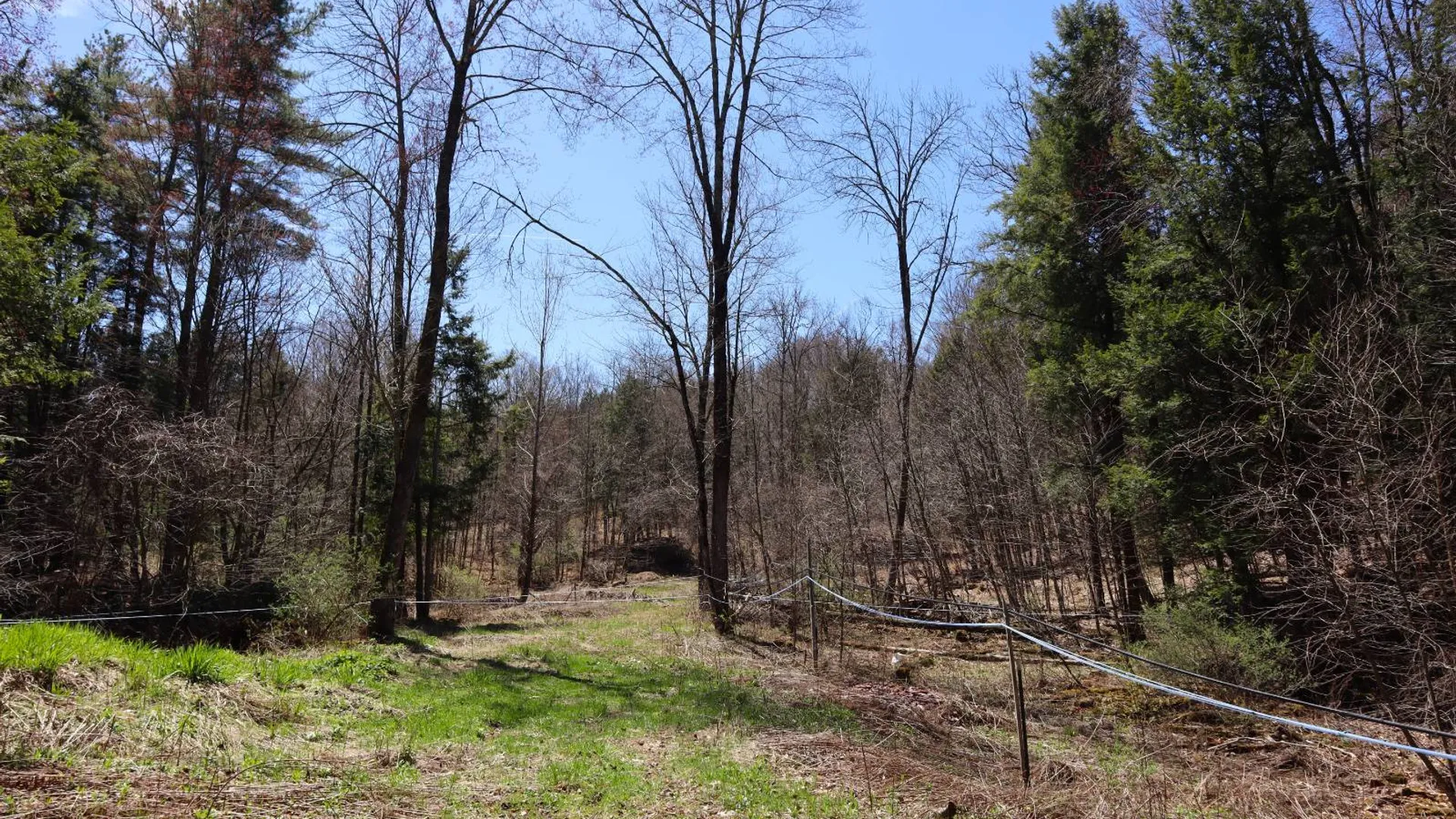 Property at 1710 Truthville Rd, Whitehall, NY 12887 89