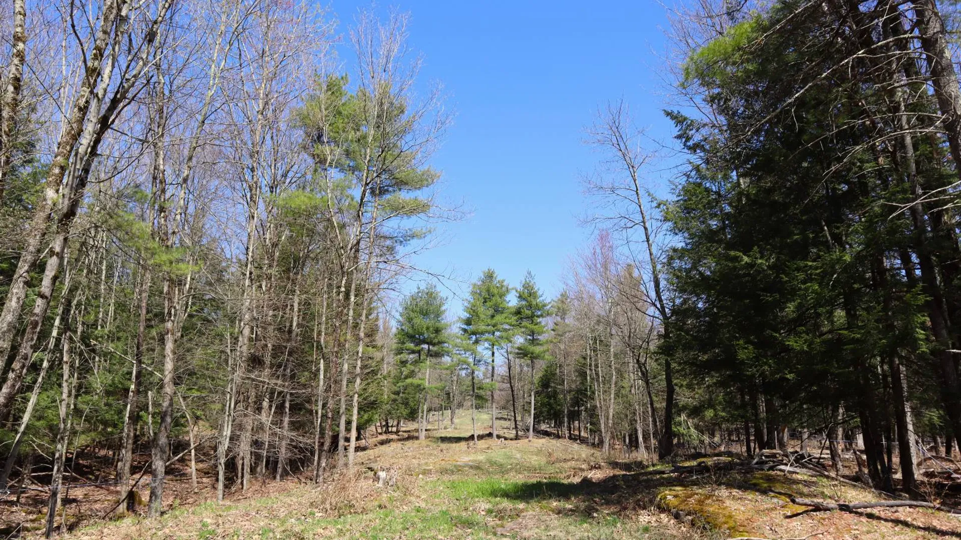 Property at 1710 Truthville Rd, Whitehall, NY 12887 90